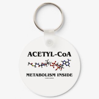 Acetyl-CoA Metabolism Inside (Chemical Molecule) keychain