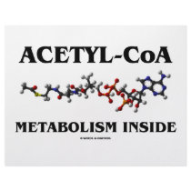 Acetyl-CoA Metabolism Inside (Chemical Molecule) letterhead by wordsunwords Acetyl-CoA Metabolism Inside (Chemical Molecule) letterhead