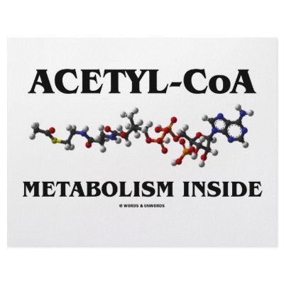 Acetyl-CoA Metabolism Inside (Chemical Molecule) Letterhead Template by wordsunwords