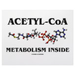 Acetyl-CoA Metabolism Inside (Chemical Molecule) Letterhead Template