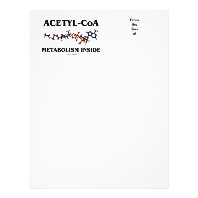 Acetyl-CoA Metabolism Inside (Chemical Molecule) Letterhead