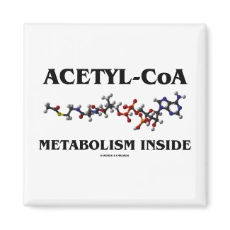 Acetyl-CoA Metabolism Inside (Chemical Molecule) magnet
