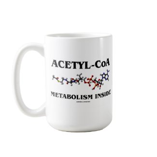 Acetyl-CoA Metabolism Inside (Chemical Molecule) mug