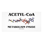 Acetyl-CoA Metabolism Inside (Chemical Molecule) photo cards