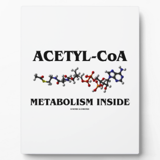 Acetyl-CoA Metabolism Inside (Chemical Molecule) Photo Plaques