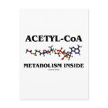 Acetyl-CoA Metabolism Inside (Chemical Molecule) Postcards