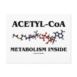 Acetyl-CoA Metabolism Inside (Chemical Molecule) Post Card