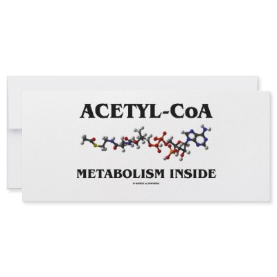 Acetyl-CoA Metabolism Inside (Chemical Molecule) Personalized Rack Card by wordsunwords