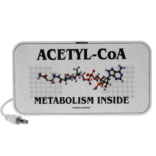 Acetyl-CoA Metabolism Inside (Chemical Molecule) Travel Speakers