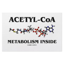 Acetyl-CoA Metabolism Inside (Chemical Molecule) Stationery