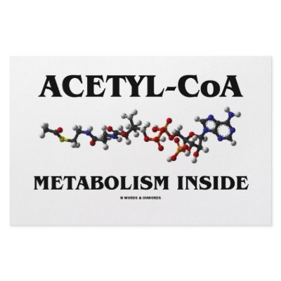 Acetyl-CoA Metabolism Inside (Chemical Molecule) Stationery by wordsunwords