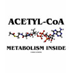 Acetyl-CoA Metabolism Inside (Chemical Molecule) t-shirts
