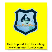 ACF Poster posters