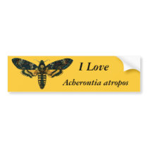 Acherontia atropos bumper stickers by FlutterByButterfly Acherontia atropos bumper stickers