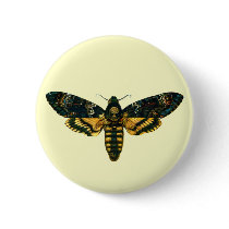 Acherontia atropos buttons