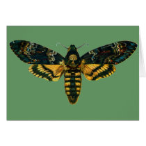 Acherontia atropos cards