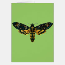 Acherontia atropos cards