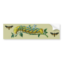 Acherontia atropos caterpillar, Acherontia atropos bumper stickers by FlutterByButterfly Acherontia atropos caterpillar, Acherontia atropos bumper stickers