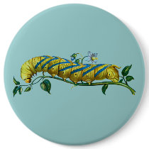 Acherontia atropos caterpillar buttons