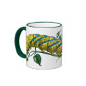 Acherontia atropos caterpillar mugs