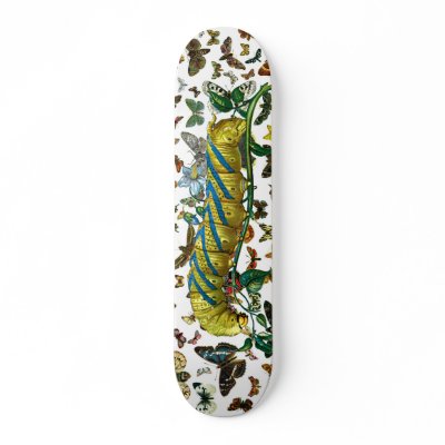 Acherontia atropos caterpillar skate board decks by FlutterByButterfly