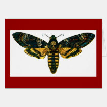 Acherontia atropos cards