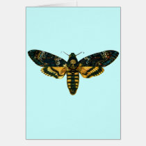 Acherontia atropos cards