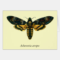 Acherontia atropos cards