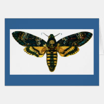 Acherontia atropos cards