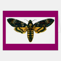 Acherontia atropos cards