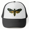Acherontia atropos hats
