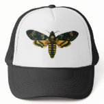 Acherontia atropos hats