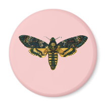 Acherontia atropos magnets