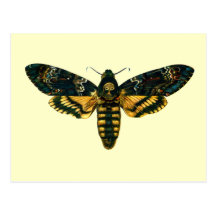 Acherontia atropos postcards