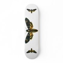 Acherontia atropos skateboards