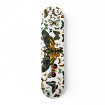 Acherontia atropos skate board decks