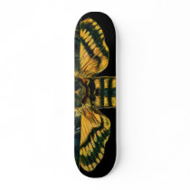 Acherontia atropos skate board deck