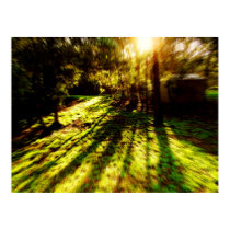 Acid Forest Journey Poster posters