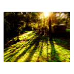 Acid Forest Journey Poster