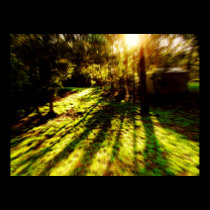 Acid Forest Journey Poster posters