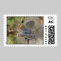 Acmon Blue Stamp stamps