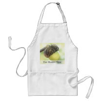 Acorn Apron