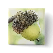 Acorn Pin