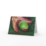 Acorn Card