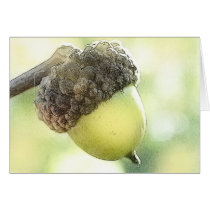 Acorn Cards