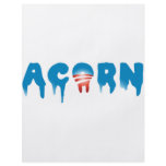 ACORN flyers