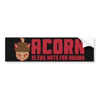 Acorn is Evil nuts for Obama Bumper Sticker bumpersticker