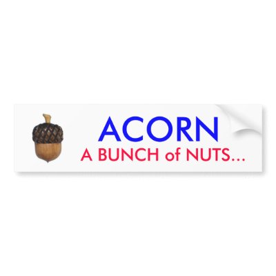 acorn_large, ACORN, A BUNCH of NUTS... Bumper Stickers by officer_dread