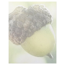 Acorn Letterhead