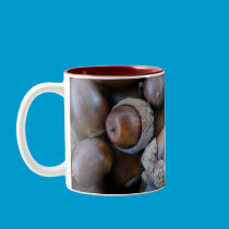 Acorn Mug